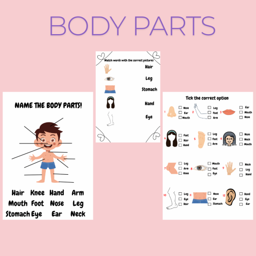 Engelska - Body parts