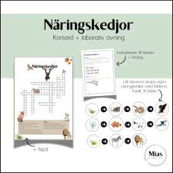 Näringskedjor (korsord + laborativ övning))