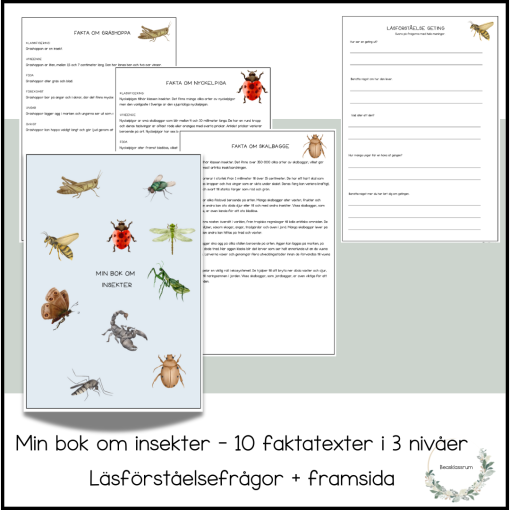Min bok om insekter - 10 faktatexter (3 nivåer)