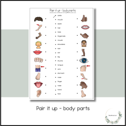 Pair it up - body parts