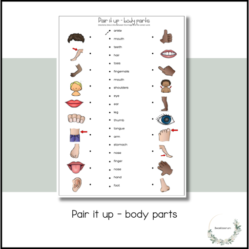 Pair it up - body parts