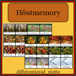 Höstmemory - memory om höstens kännetecken