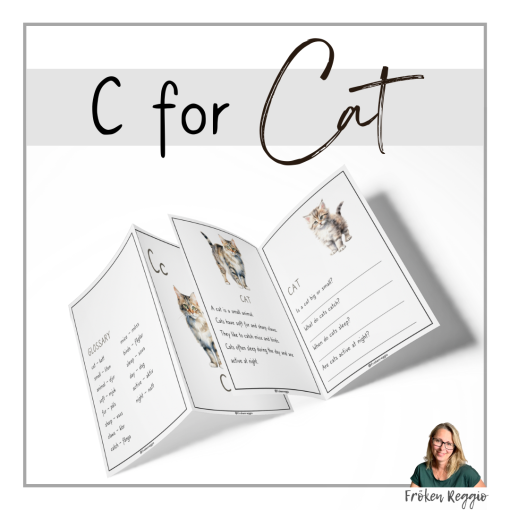 C for Cat