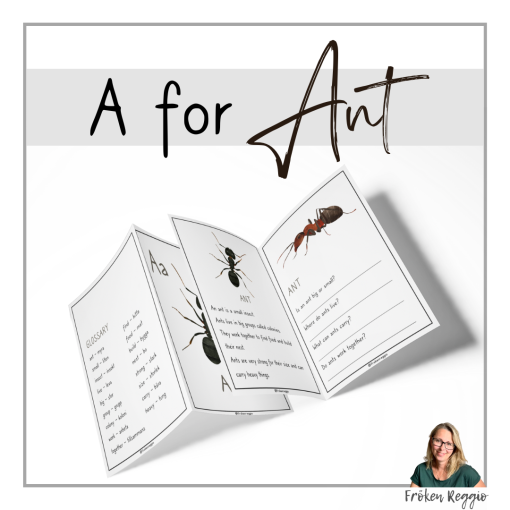 A for Ant