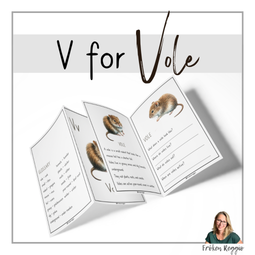 V for Vole