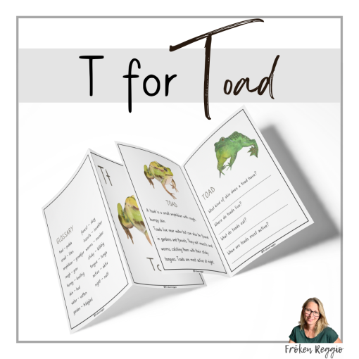 T for Toad