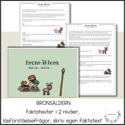 Bronsåldern