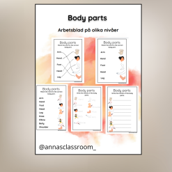 English - Body parts