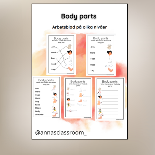 English - Body parts