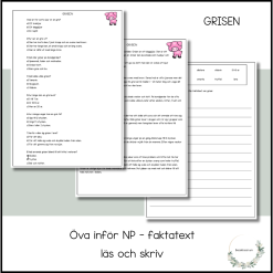 Träna inför NP - faktatext grisen