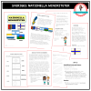 Sveriges nationella minoriteter