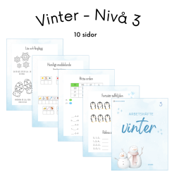Vinter - Nivå 3