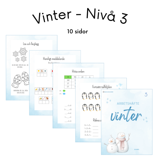 Vinter - Nivå 3