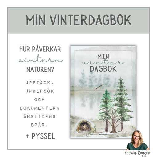 Min Vinterdagbok och pussel
