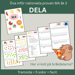 Dela - Har vi koll på bråkdelarna? Öva inför nationella proven åk 3. 5 sidor med facit.