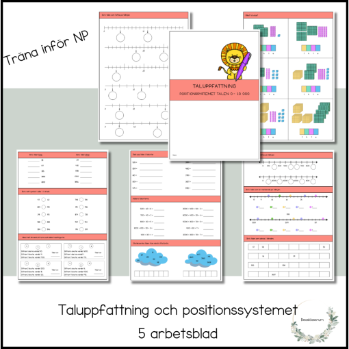 Träna inför NP - taluppfattning och positionssystemet