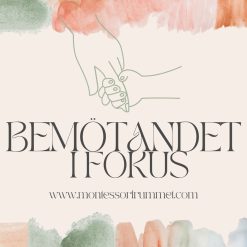 Bemötandet i fokus
