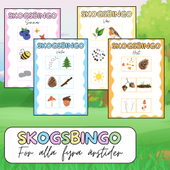 Skogsbingo - för alla fyra årstider