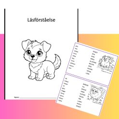 Enkel läsförståelse - para ihop ord