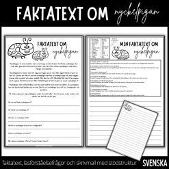 Dags att läsa, svara på frågor och skriva - faktatext om nyckelpigan