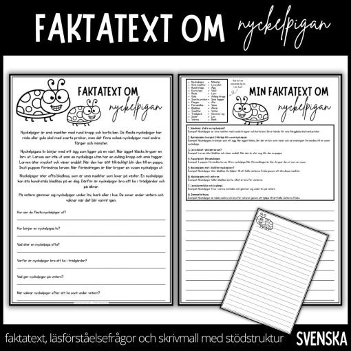 Dags att läsa, svara på frågor och skriva - faktatext om nyckelpigan