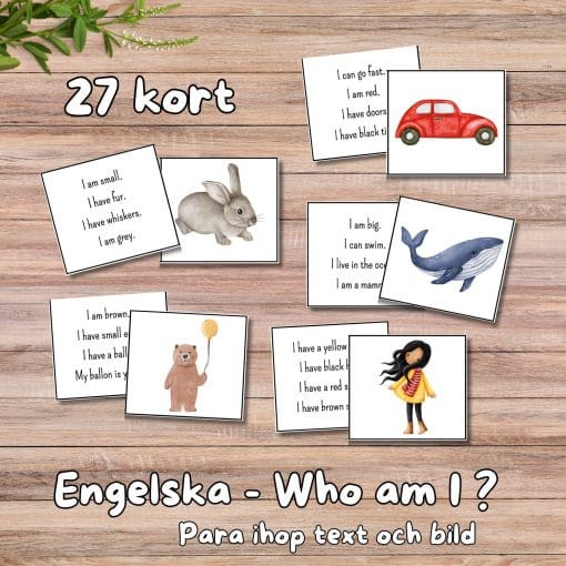 Engelska - who am I? - kort med läsförståelse
