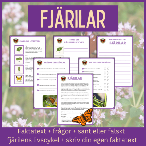 Fjärilar - läsförståelse och skrivuppgift