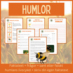 Humlor – läsförståelse och skrivuppgifter