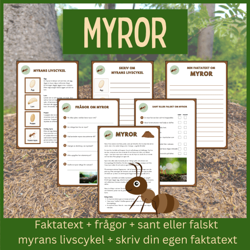 Myror - läsförståelse och skrivuppgifter
