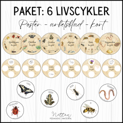 PAKET: 6 livscykler