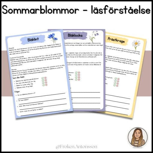 Sommarblommor - läsförståelse