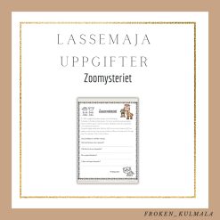 LasseMaja arbetsblad: Zoomysteriet