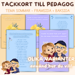 Tackkort till pedagog på förskola - Sommar