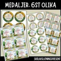 Medaljer - 6st olika
