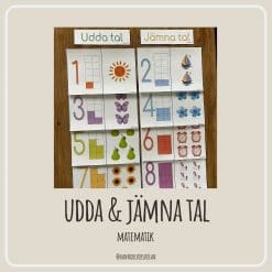 Udda & jämna tal