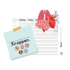 Kroppen