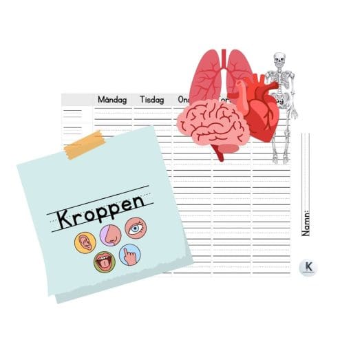 Kroppen