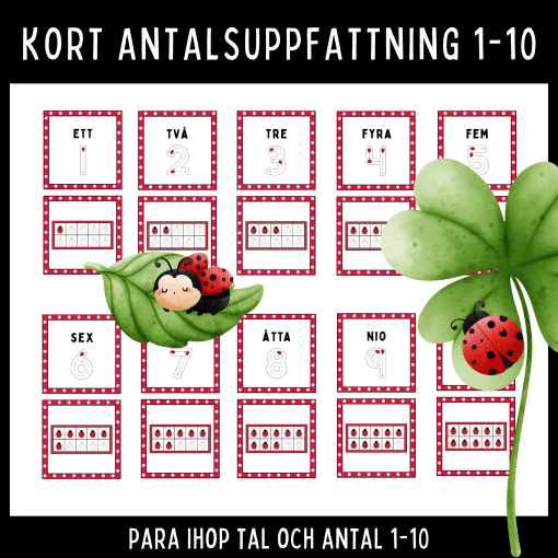 Matchningskort: Nyckelpigor – Para ihop tal och antal (1–10)