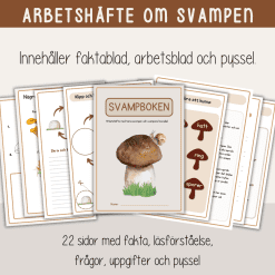 Svampboken - svampens delar och livscykel - arbetshäfte