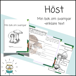 Min bok om svampar -enklare version