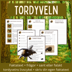 Tordyveln – läsförståelse och skrivuppgifter