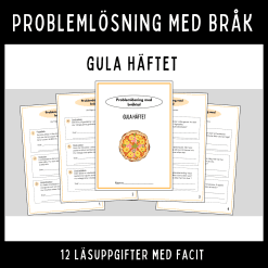 Problemlösning med bråk, 4 sidor