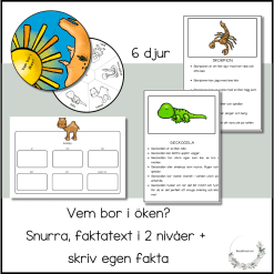 Vem bor i öken?