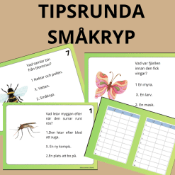 Tipsrunda om småkryp