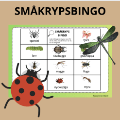 Småkrypsbingo